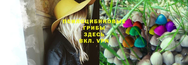 ECSTASY Белокуриха