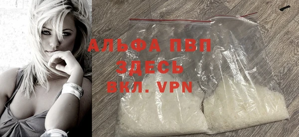 прущие грибы Тында