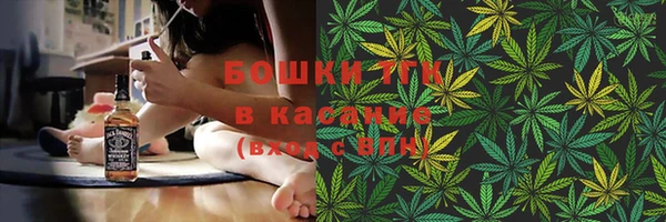 прущие грибы Тында