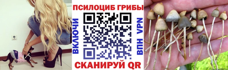 Псилоцибиновые грибы MAGIC MUSHROOMS  Бикин 