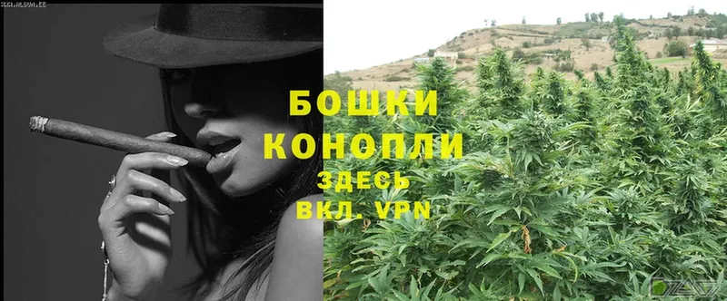 Канабис White Widow  Бикин 